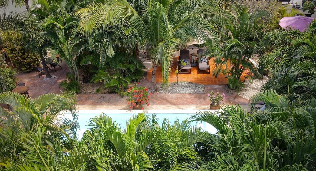 Wonders Boutique Hotel Oranjestad Dış mekan fotoğraf