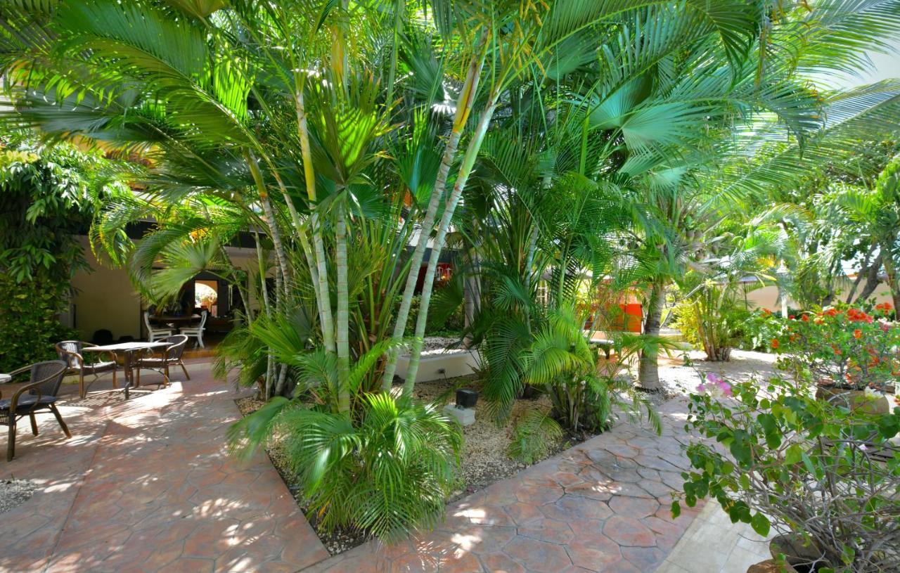 Wonders Boutique Hotel Oranjestad Dış mekan fotoğraf