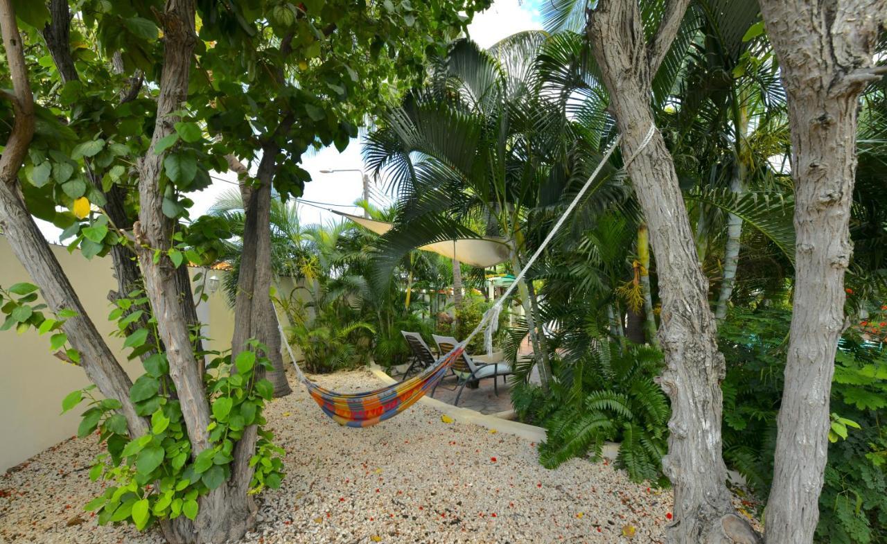 Wonders Boutique Hotel Oranjestad Dış mekan fotoğraf
