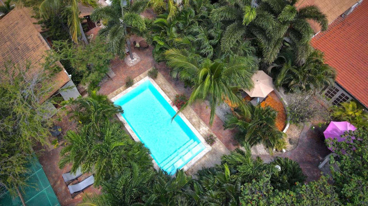 Wonders Boutique Hotel Oranjestad Dış mekan fotoğraf