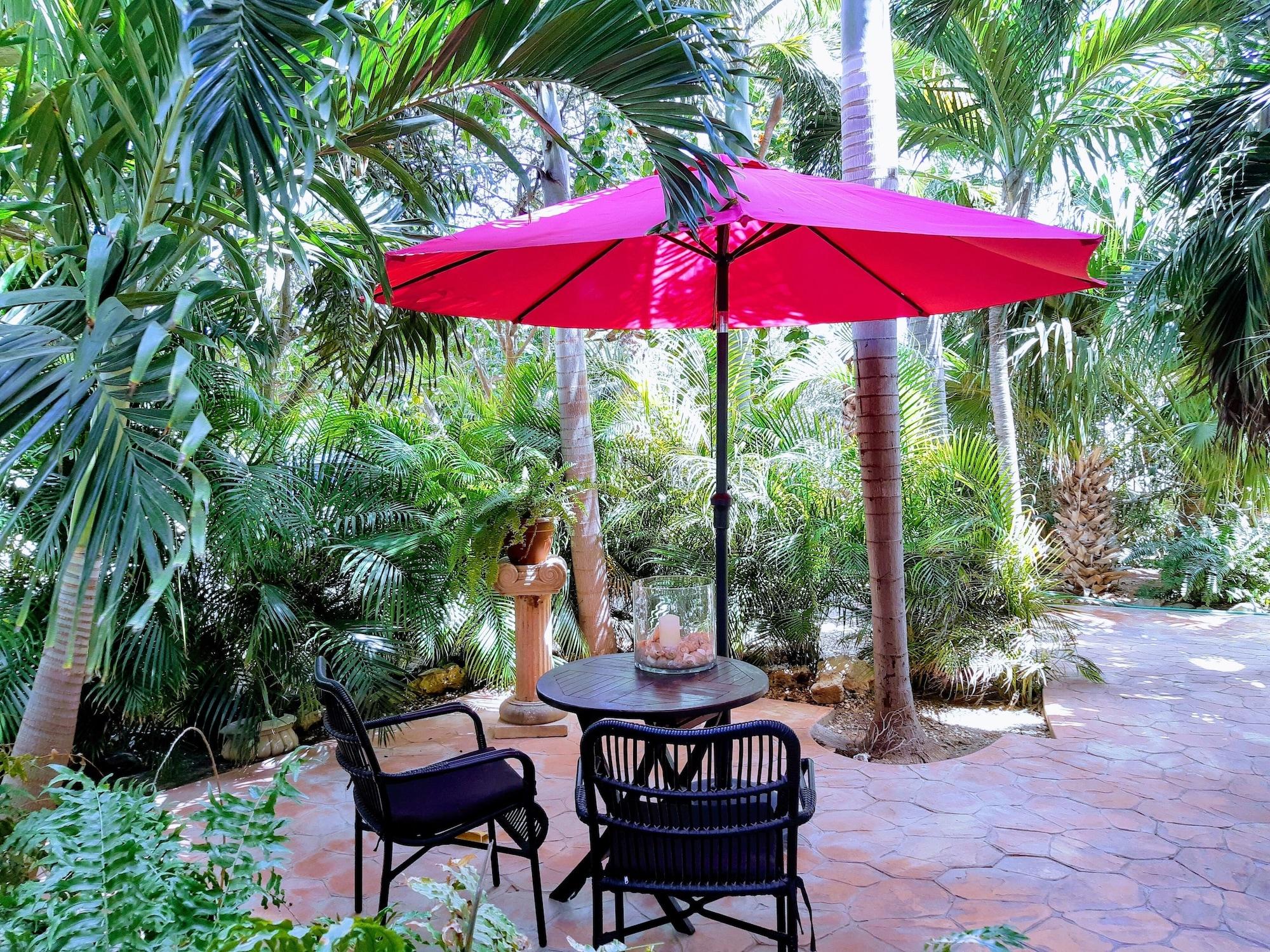 Wonders Boutique Hotel Oranjestad Dış mekan fotoğraf